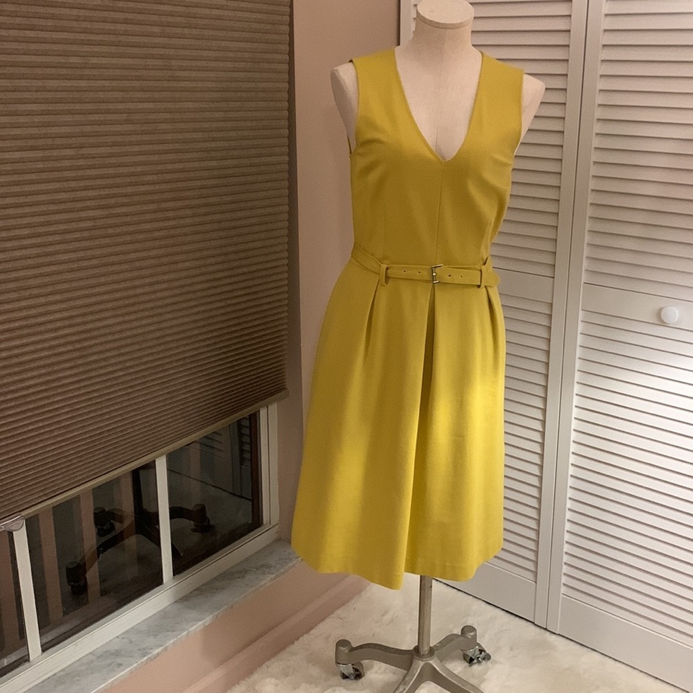 Banana Republic dress size 4. Lovely mustard yellow. Pockets and belt
